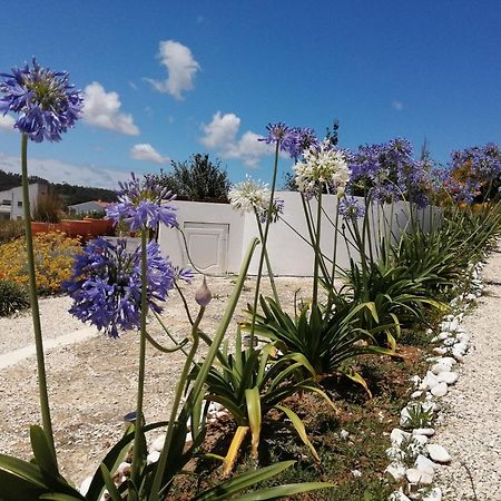 Bb Silvercoast Casa Das Flores Santa Catarina  ภายนอก รูปภาพ