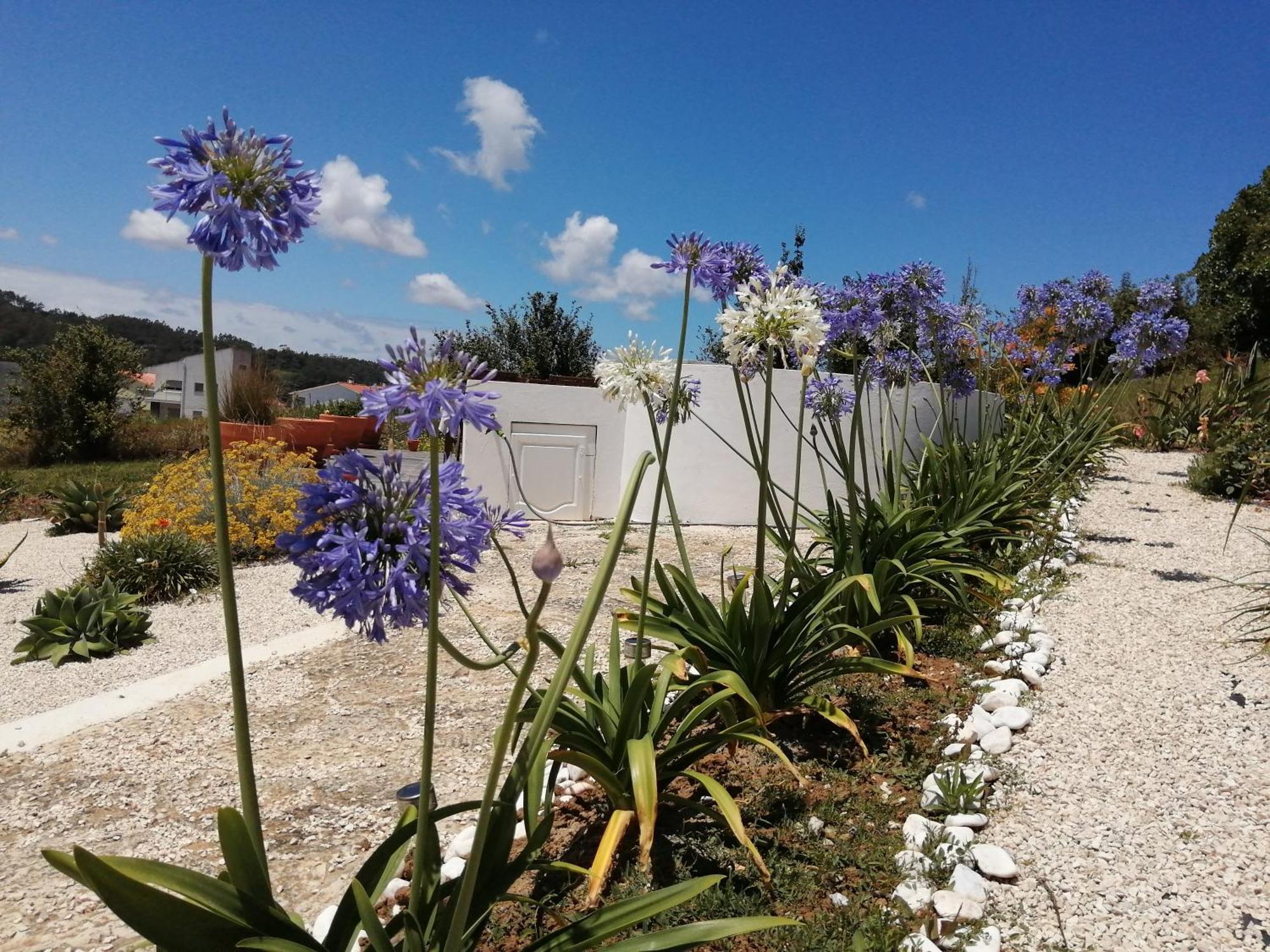 Bb Silvercoast Casa Das Flores Santa Catarina  ภายนอก รูปภาพ